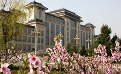 ���������W