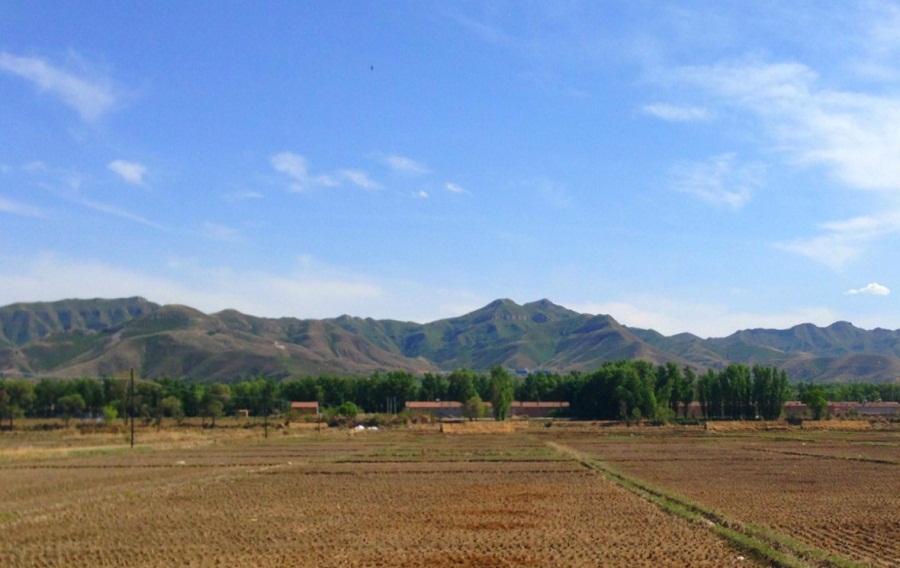 五純生態(tài)農(nóng)業(yè)依靠智慧農(nóng)業(yè)技術(shù)讓種植更科學