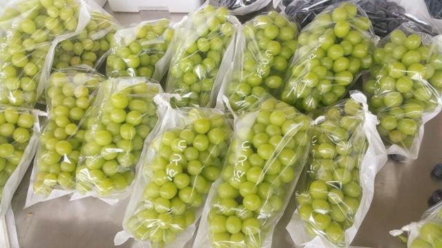 ���C(j��)���������Y���r(n��ng)���T�����ѹܼҞ��九(ji��)�s����(w��)�M(f��i)��15�f(w��n)