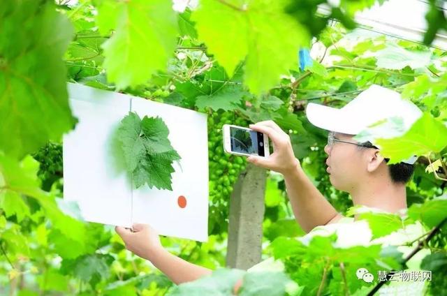 ���C(j��)���������Y���r(n��ng)���T�����ѹܼҞ��九(ji��)�s����(w��)�M(f��i)��15�f(w��n)