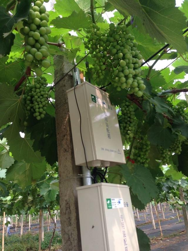 ���C(j��)���������Y���r(n��ng)���T�����ѹܼҞ��九(ji��)�s����(w��)�M(f��i)��15�f(w��n)