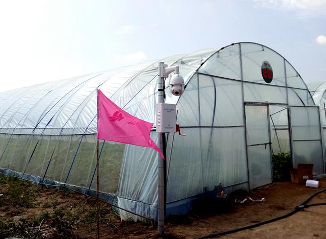 �Ї�(gu��)���W(w��ng)�y���읙(r��n)�������_���R����N�����ܷNֲ