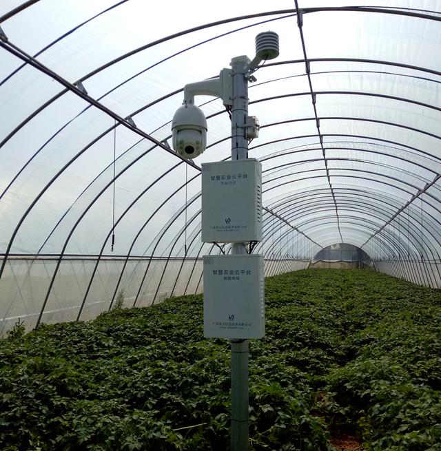 �Ї�(gu��)���W(w��ng)�y���읙(r��n)�������_���R����N�����ܷNֲ