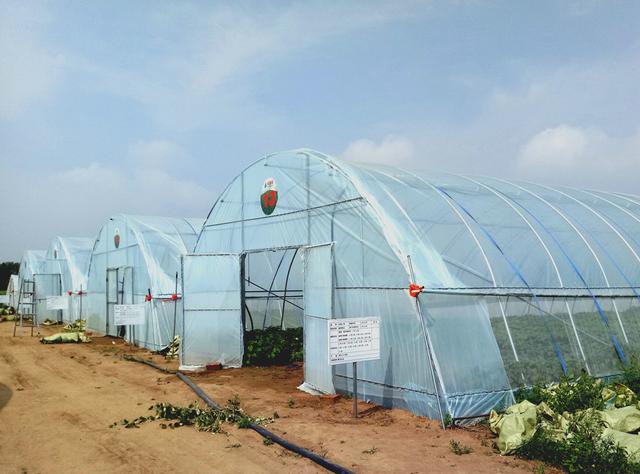 �Ї�(gu��)���W(w��ng)�y���읙(r��n)�������_���R����N�����ܷNֲ