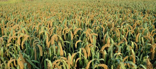 ��ע�ڿ��е��A�����Ƽ���Ҳ���������ܱO(ji��n)�؎����ľ���(zh��n)�c��Ч