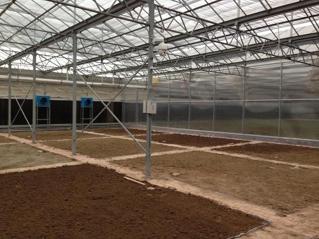 ��ע�ڿ��е��A�����Ƽ���Ҳ���������ܱO(ji��n)�؎����ľ���(zh��n)�c��Ч