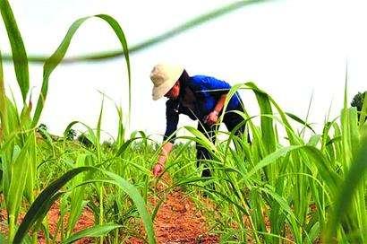 ��ע�ڿ��е��A�����Ƽ���Ҳ���������ܱO(ji��n)�؎����ľ���(zh��n)�c��Ч