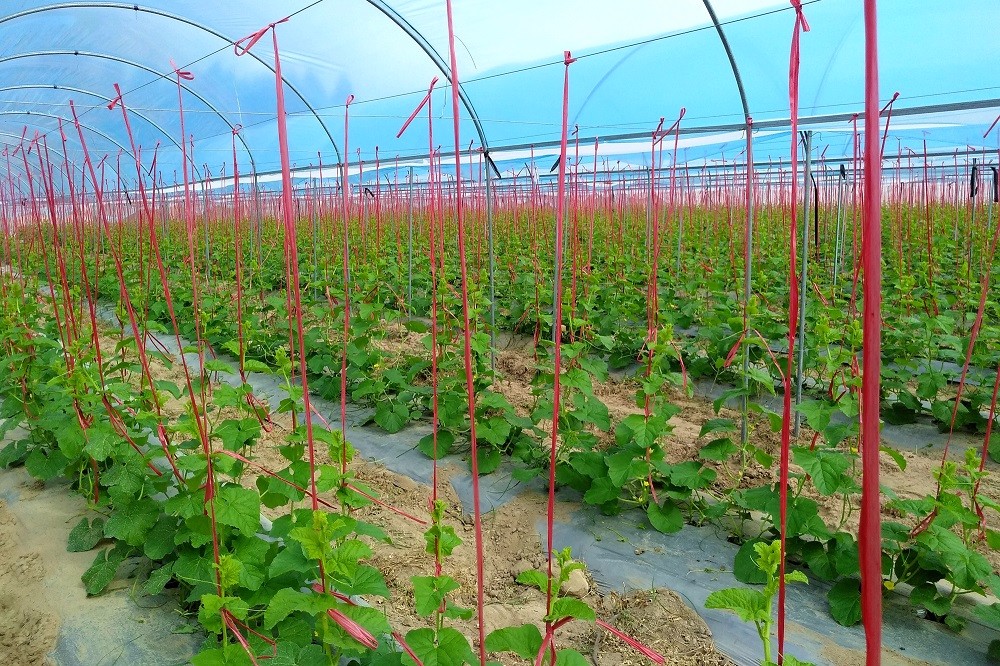 �ǻ��r(n��ng)�I(y��)���ֺ������ǹ��Ƽ���ͨ�a(ch��n)�c�N