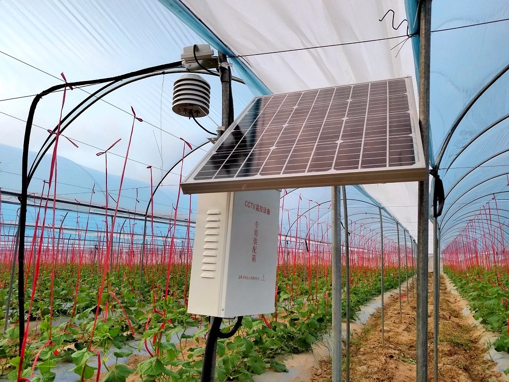 �ǻ��r(n��ng)�I(y��)���ֺ������ǹ��Ƽ���ͨ�a(ch��n)�c�N