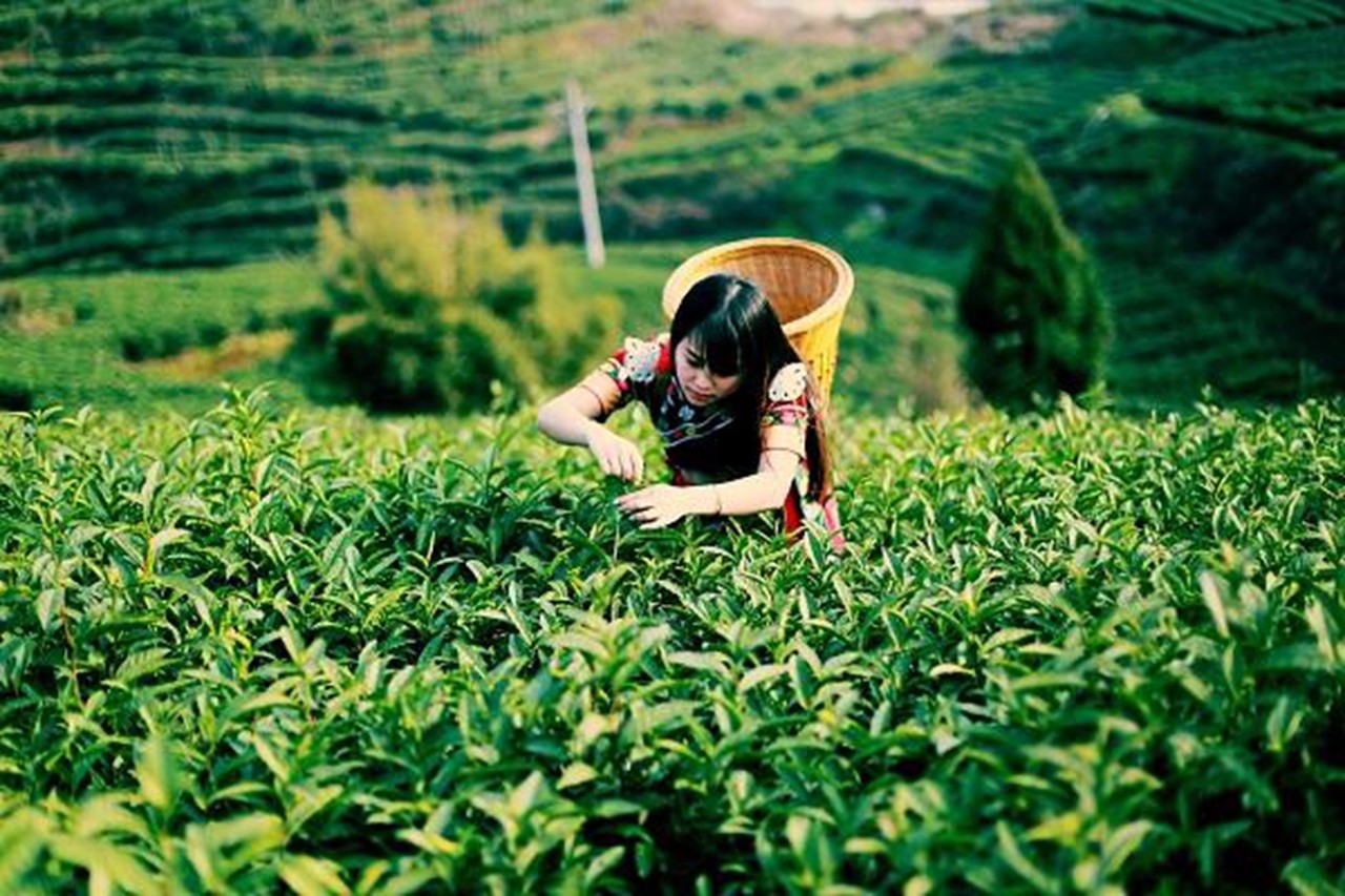 �ǻ��r�I(y��)�����������������F����Óؚ