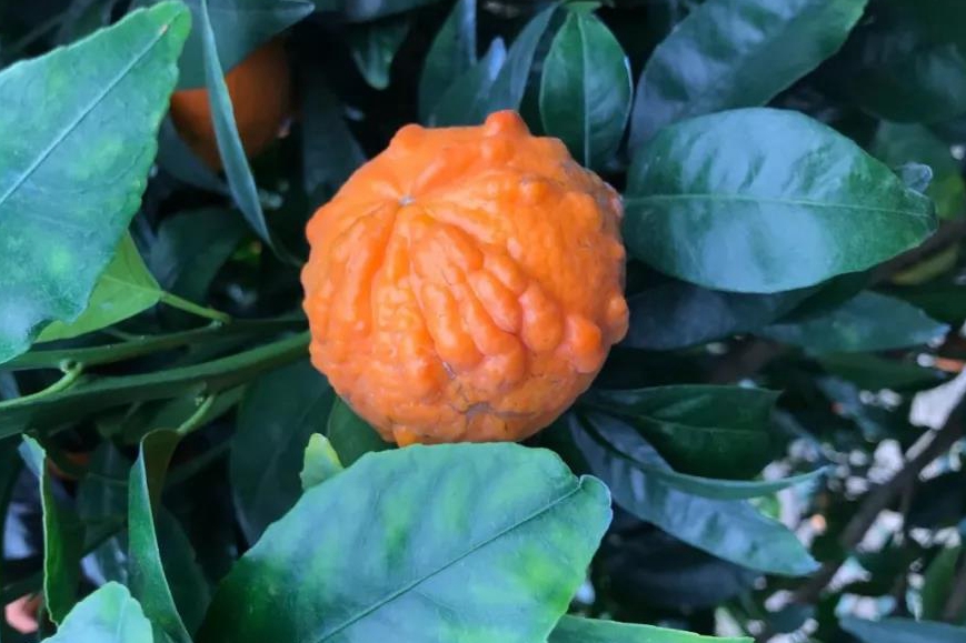 �V���ָ������ǻ��r�I(y��)��������Ʒ��