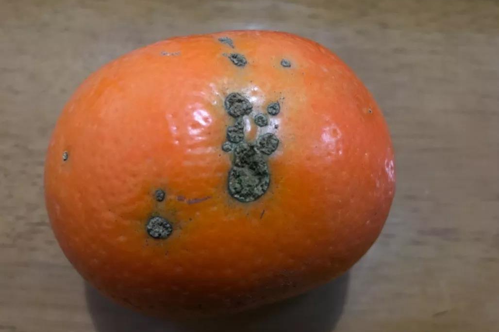 �V���ָ������ǻ��r�I(y��)��������Ʒ��