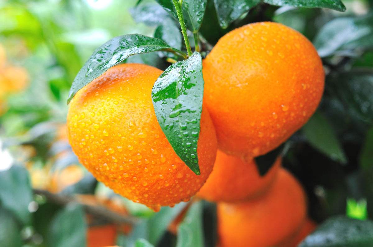 �V���ָ������ǻ��r�I(y��)��������Ʒ��