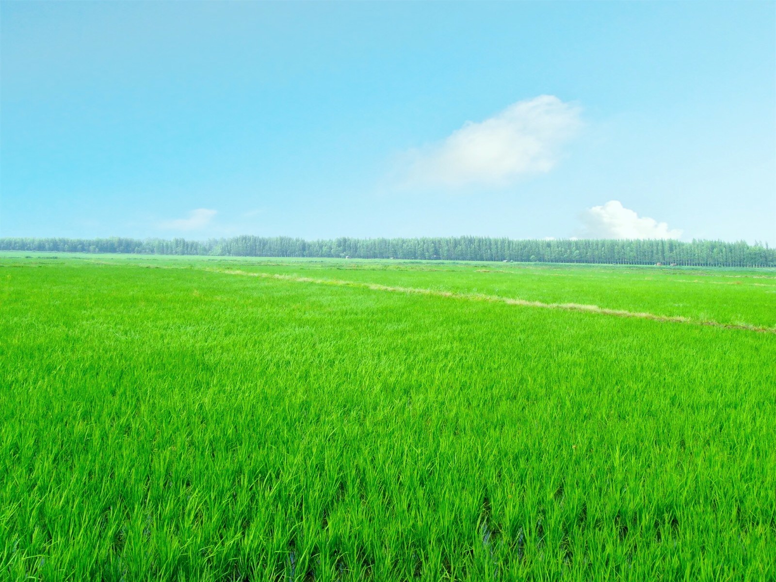 �Gˮ��ɽ���ǽ�ɽ�yɽ�����ǻ��r(n��ng)�I(y��)�������r(n��ng)�I(y��)��(li��n)�W(w��ng)���������B(t��i)�r(n��ng)�I(y��)�����o(h��)�W(w��ng)