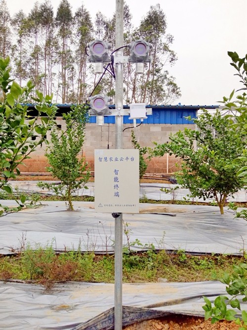 �Gˮ��ɽ���ǽ�ɽ�yɽ�����ǻ��r(n��ng)�I(y��)�������r(n��ng)�I(y��)��(li��n)�W(w��ng)���������B(t��i)�r(n��ng)�I(y��)�����o(h��)�W(w��ng)