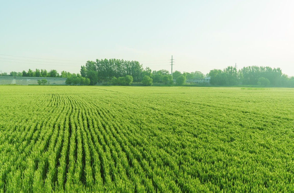 ���vʷ�ӛ�Ŀ��y���S���^(q��)����������ǻ��r�I(y��)�Ŀ�܇���ɞ�һ������