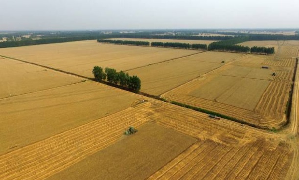 ���vʷ�ӛ�Ŀ��y���S���^(q��)����������ǻ��r�I(y��)�Ŀ�܇���ɞ�һ������