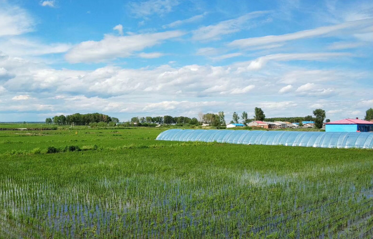 ������ˮ�ƿƼ������ǻ��r(n��ng)�I(y��)���g(sh��)���M(j��n)�����a(ch��n)ʾ��