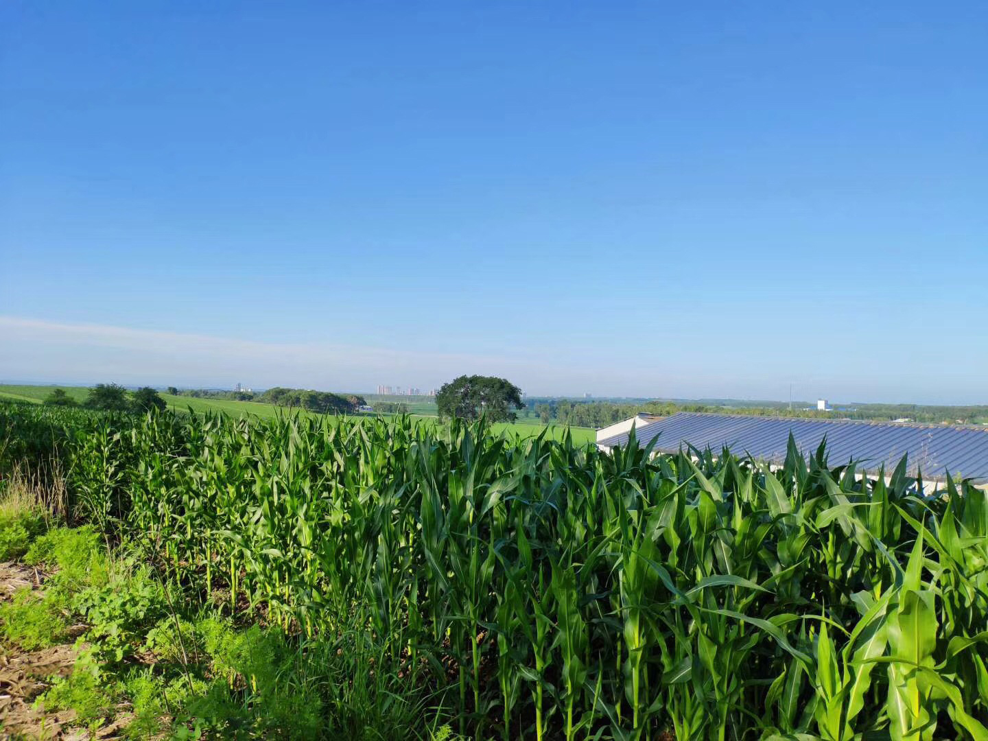 ������ˮ�ƿƼ������ǻ��r(n��ng)�I(y��)���g(sh��)���M(j��n)�����a(ch��n)ʾ��