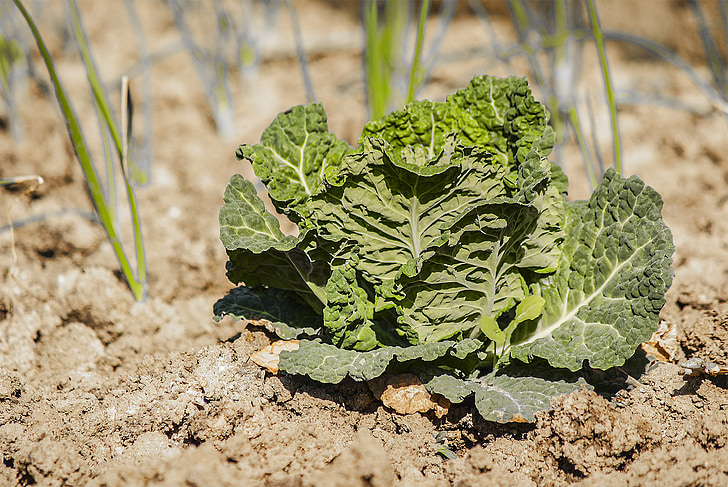 ������l(xi��ng)�R�݇�(y��n)�����a(ch��n)�������_չ��(bi��o)��(zh��n)���Nֲ