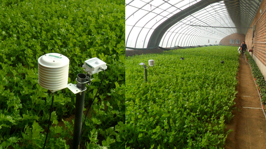 ���C��Ҵ�F(xi��n)���r(n��ng)�I(y��)ʾ���@���_(k��i)���ǻ��r(n��ng)�I(y��)��(bi��o)��(zh��n)���Nֲ