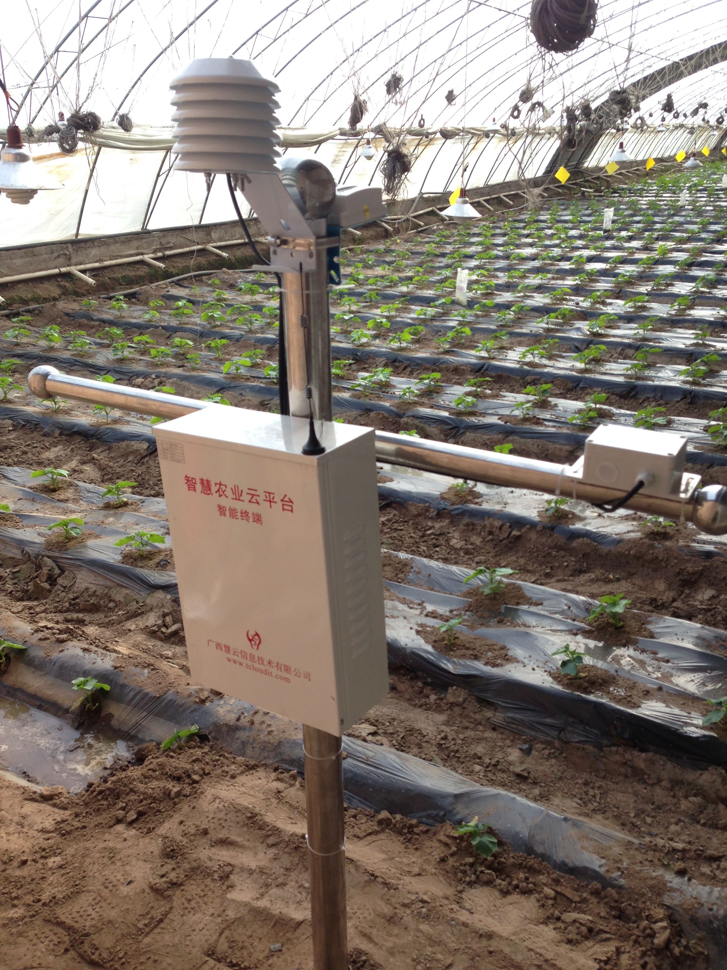 �ຣ��ͨ�h�ИI(y��)��(j��)�F(xi��n)���r(n��ng)�I(y��)ʾ���@�������ǻ��r(n��ng)�I(y��)��(sh��)�F(xi��n)һ������