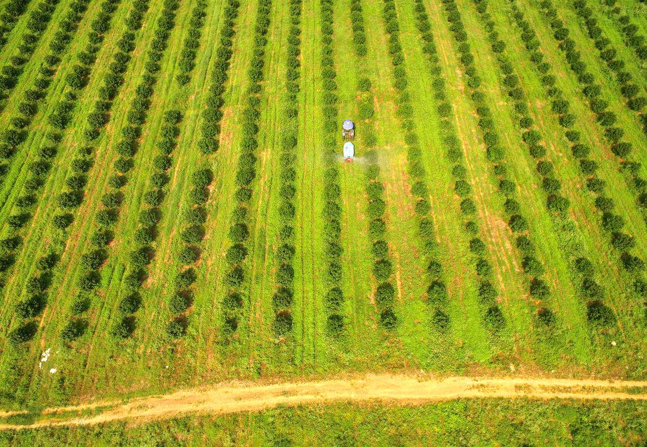 ʲô���ǻ��r(n��ng)�I(y��)��