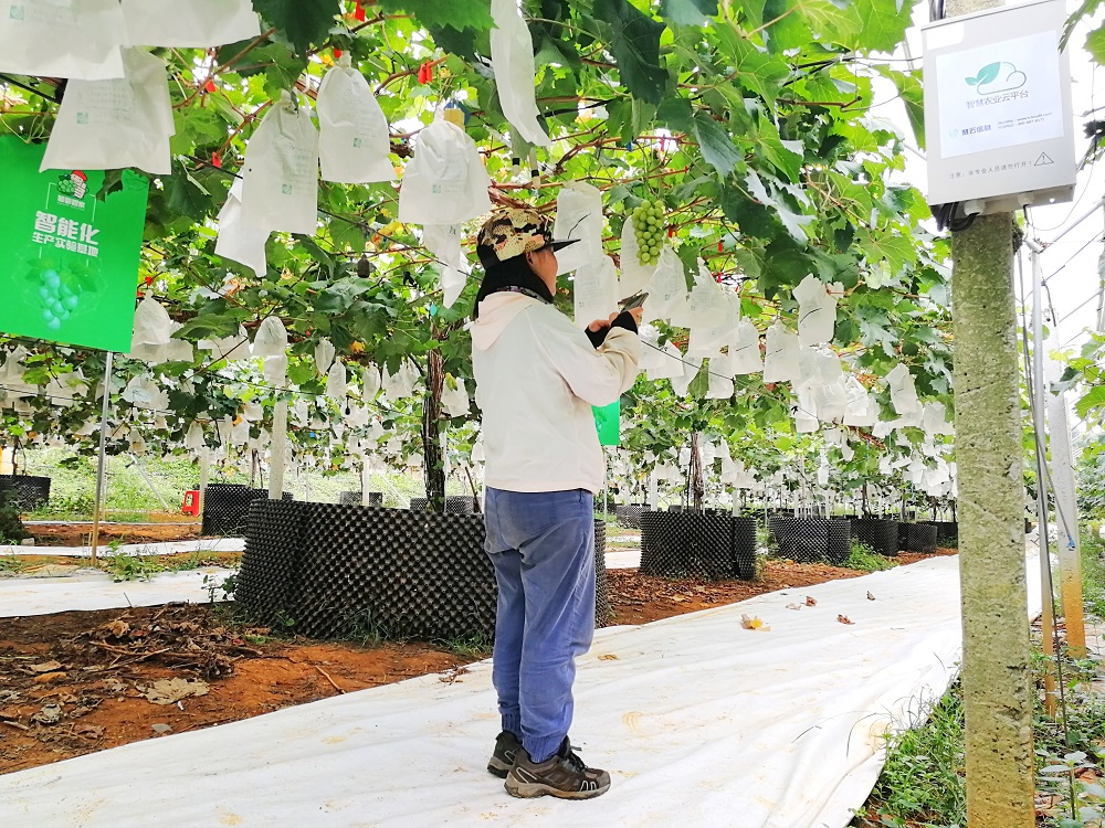 ʲô���ǻ��r(n��ng)�I(y��)�������읙�����ķ���(w��)���سɹ�ʾ��