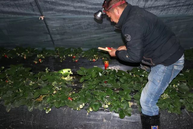 ����ʹ��ݮ���ֵ�c��(sh��)������ı������ǈ�(ji��n)�����ƵĘ�(bi��o)��(zh��n)������