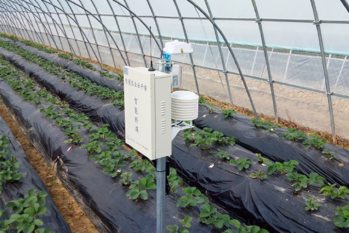 ����ʹ��ݮ���ֵ�c��(sh��)������ı������ǈ�(ji��n)�����ƵĘ�(bi��o)��(zh��n)������