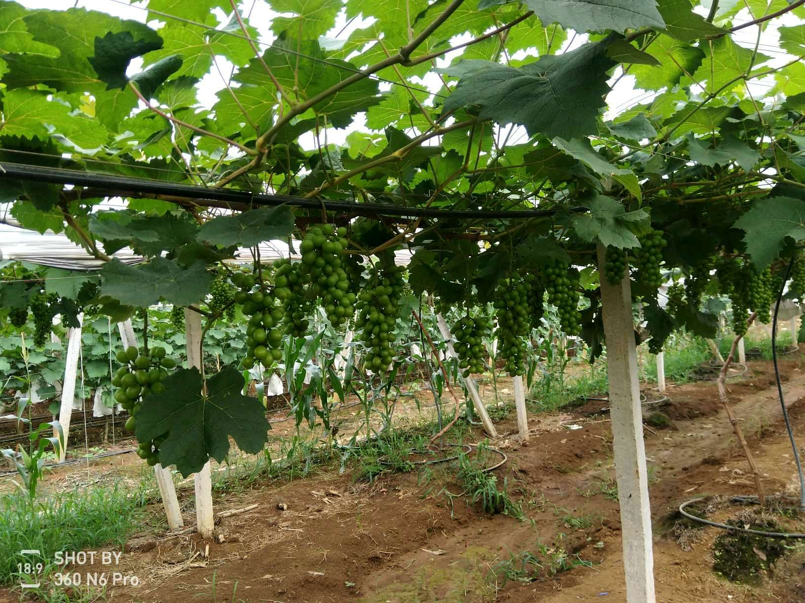 ���ݰ����(zh��n)���ш@�Ķ�λѲ�@���r(n��ng)��ӛ�