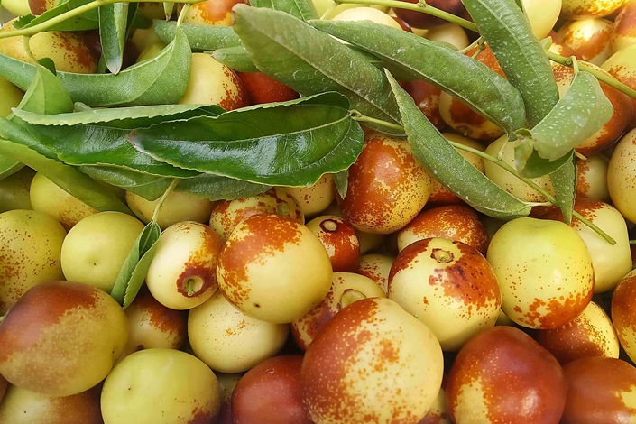 �읙(r��n)�������ܱO(ji��n)�؃x����С������(w��)��(y��u)��(li��n)�������������������ԃr(ji��)�ȳ������r(n��ng)��ֵ�Ó���