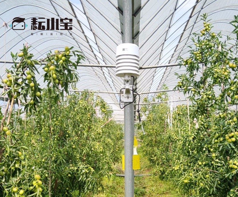 �읙(r��n)�������ܱO(ji��n)�؃x����С������(w��)��(y��u)��(li��n)�������������������ԃr(ji��)�ȳ������r(n��ng)��ֵ�Ó���