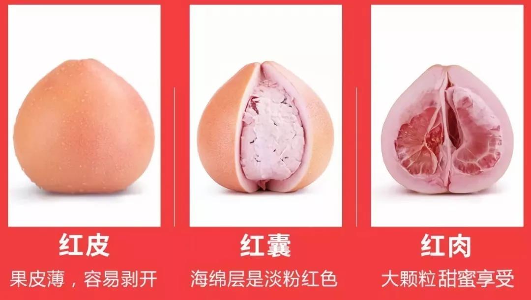 ��С������(w��)�ǻ۹��I(y��)���a(ch��n)���ƹ����ء����������t���֣�����������ǰ�A(y��)��