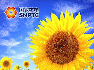 中國(guó)核電網(wǎng)網(wǎng)站建設(shè) 中國(guó)核電網(wǎng)網(wǎng)站建設(shè)