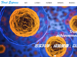 信息科技網(wǎng)站建設(shè) 信息科技網(wǎng)站建設(shè)