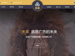 未萊網(wǎng)站建設(shè) 未萊網(wǎng)站建設(shè)