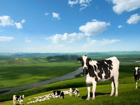 ��(ji��)�ܭh(hu��n)���W(w��ng)վ���O����