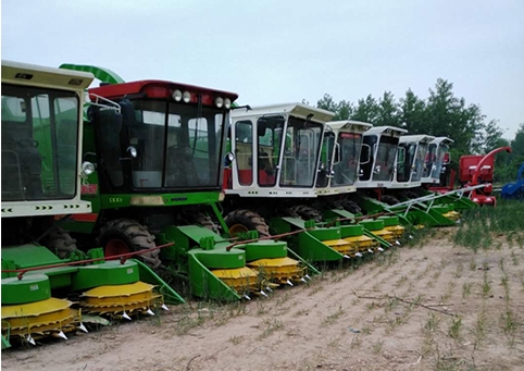 �P(gu��n)���҂�