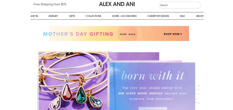 �錚�W(w��ng)վ�O(sh��)Ӌ�����CAlex and Ani