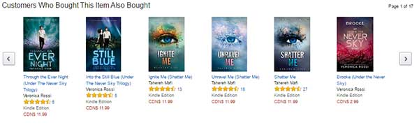 �ɳɹ��@ȡ�͑�����̾W(w��ng)վ�a(ch��n)Ʒ��O(sh��)Ӌ(j��)-��һ����