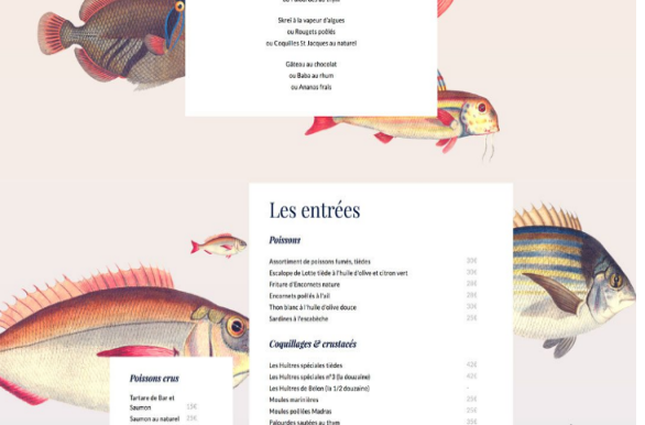 �ھW(w��ng)��O(sh��)Ӌ�^����  ��NţX����Ч�\(y��n)�ü���