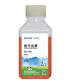 胎牛血清BS-1101