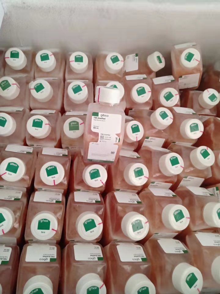 DMEM/高糖(含高糖、L-谷氨酰胺、酚紅，不含丙酮酸鈉、HEPES、磷酸鹽)產(chǎn)品已下架