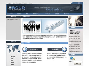 �������؟(z��)�ι�˾