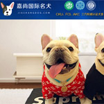 嘉尚寵物網站建設