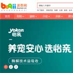 波奇網網站建設