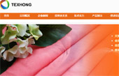 天虹紡織集團網(wǎng)站建設(shè)