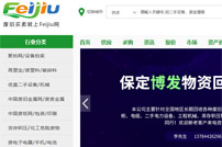 Feijiu網(wǎng)網(wǎng)站建設