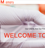 科技行業(yè)網(wǎng)站建設(shè)